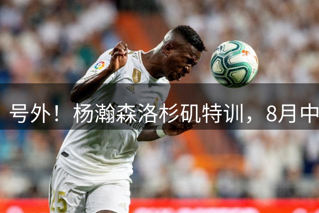 号外！杨瀚森洛杉矶特训，8月中旬回国，征战世预赛，继续当陪练？
