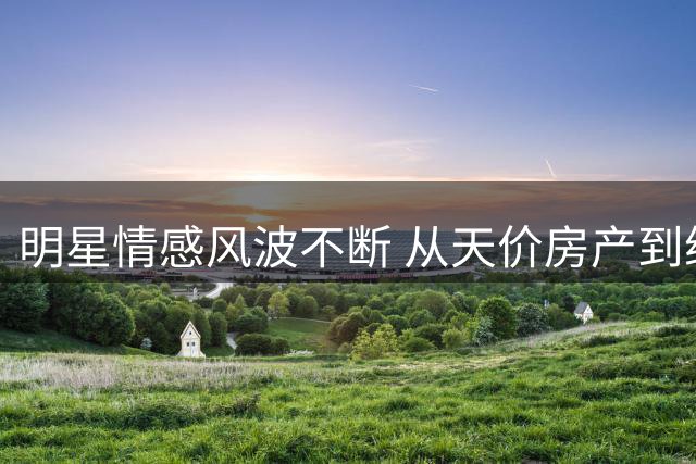 明星情感风波不断 从天价房产到综艺招商难题