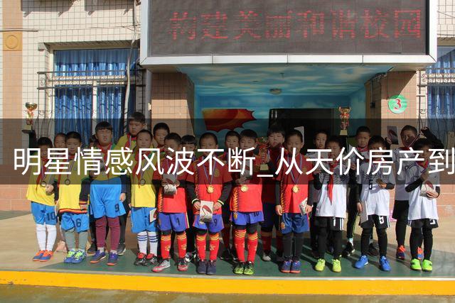 明星情感风波不断 从天价房产到综艺招商难题