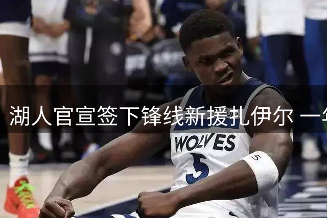 湖人官宣签下锋线新援扎伊尔 一年300万合同锁定潜力股
